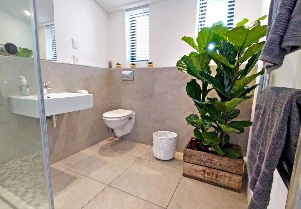 Central Modern Studio Apartment, Hermanus Waterfront Exterior foto